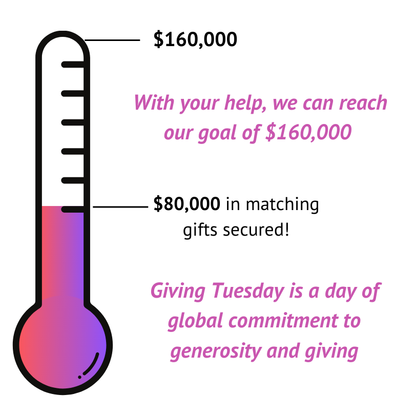 Fundraising thermometer showing that $80,000 has been raised in matching gifts. The total goal is $160,000. With your help, we can reach our goal of $60,000. Giving Tuesday is a day of global commitment to generosity and giving.